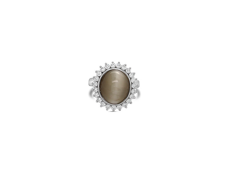 (REF 1616) 0.85ct Diamond 8.38ct Tiger Eye Dress Ring (18ct White gold)